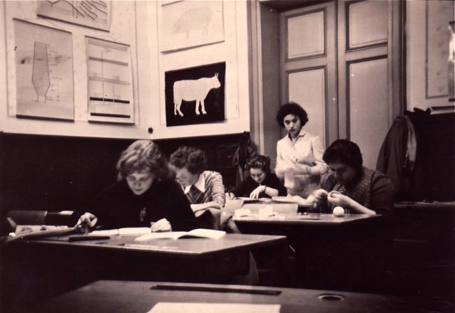 Niet te geloven! Alle meisjes waren bezig met de gestipuleerde les over anatomie van de koe en Chantal was weer iets aan het doen rond quantumfysica!